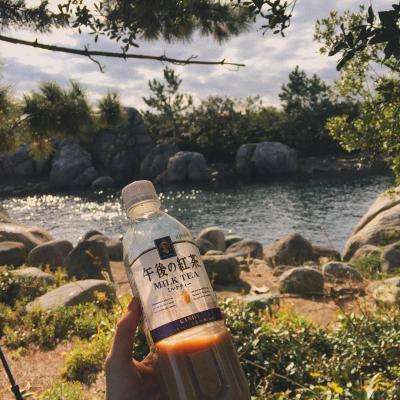 江南娱乐体育官网入口