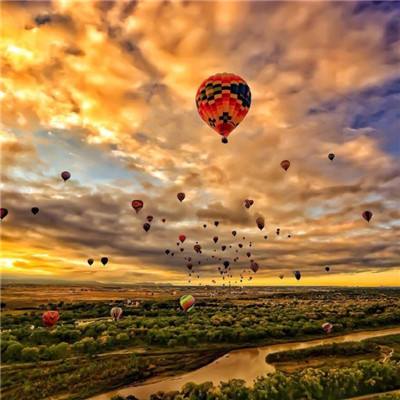 42982金牛网论坛下载手机版