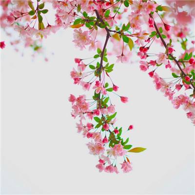 江南娱乐体育官网入口